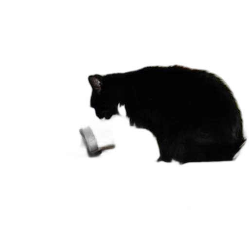 animal, robot, food, bottle transparent PNG cut-out