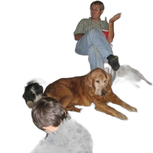 animal, staff, creature, weapon transparent PNG cut-out