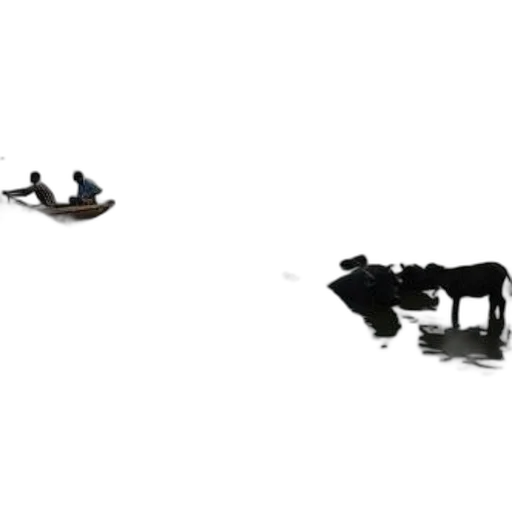 animal, shoes, robot, creature transparent PNG cut-out