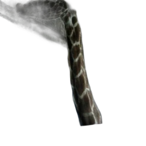animal, hair, sword, staff transparent PNG cut-out
