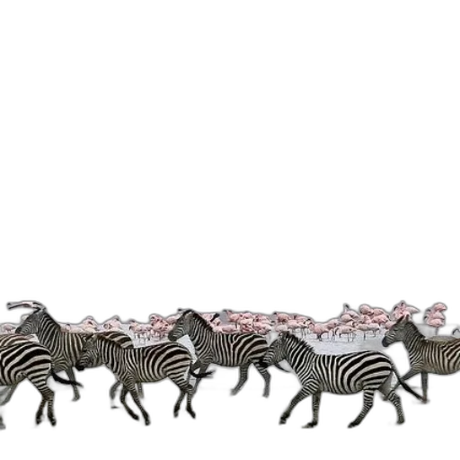 animal, concept art, 3d render, fantasy art transparent PNG cut-out