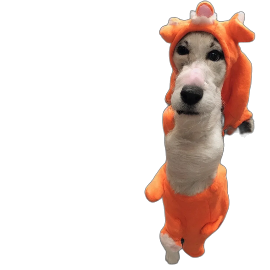 animal, dragon, creature, hat transparent PNG cut-out