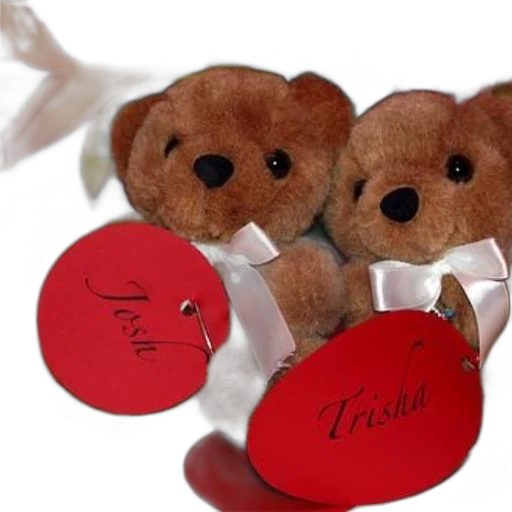 3d render, two, teddy, bears transparent PNG cut-out