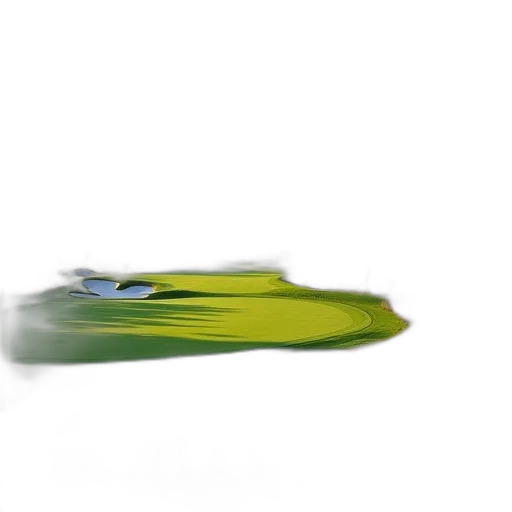 car, shoes, bottle, weapon transparent PNG cut-out