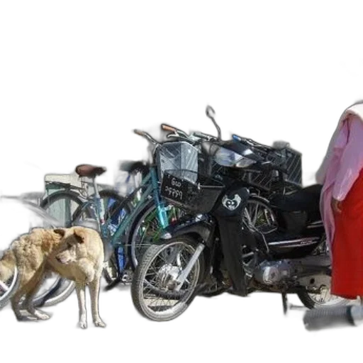 car, robot, animal, concept art transparent PNG cut-out