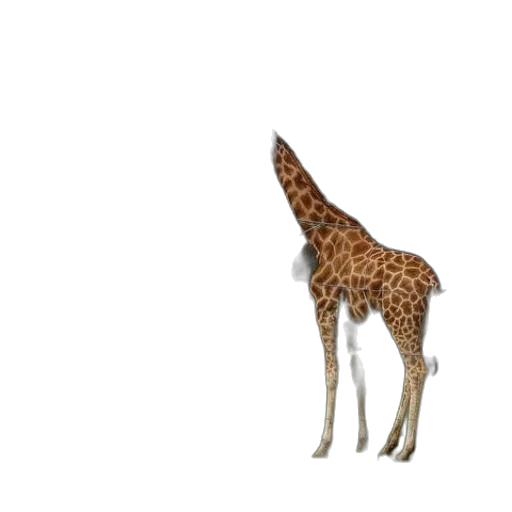 animal, creature, staff, weapon transparent PNG cut-out
