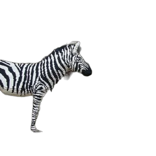 animal, creature, jewelry, shoes transparent PNG cut-out