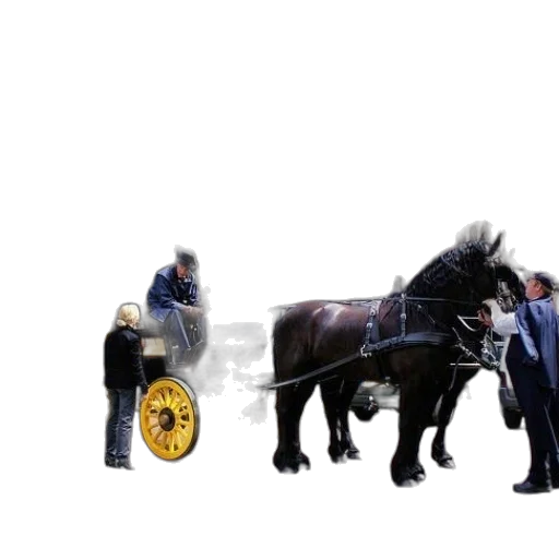 staff, animal, weapon, concept art transparent PNG cut-out