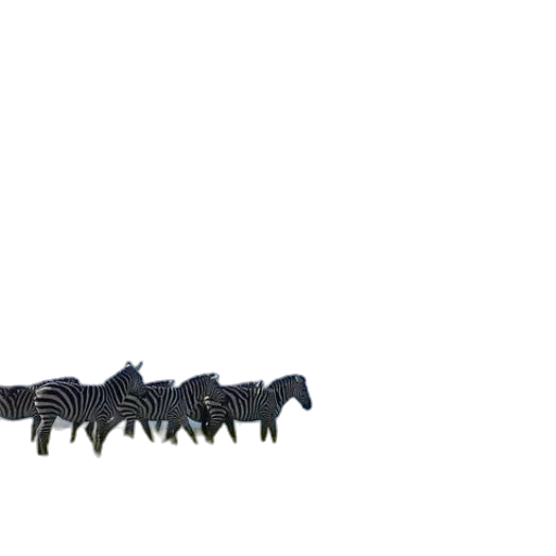 weapon, staff, animal, dragon transparent PNG cut-out