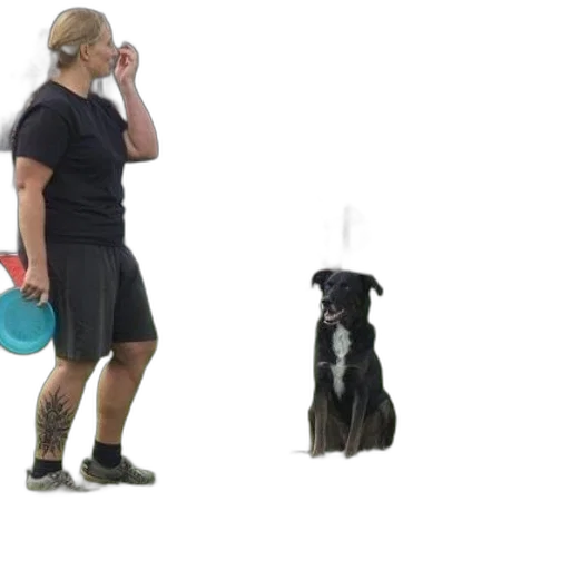 staff, animal, hat, creature transparent PNG cut-out