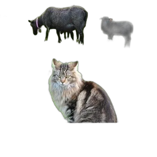animal, creature, food, weapon transparent PNG cut-out