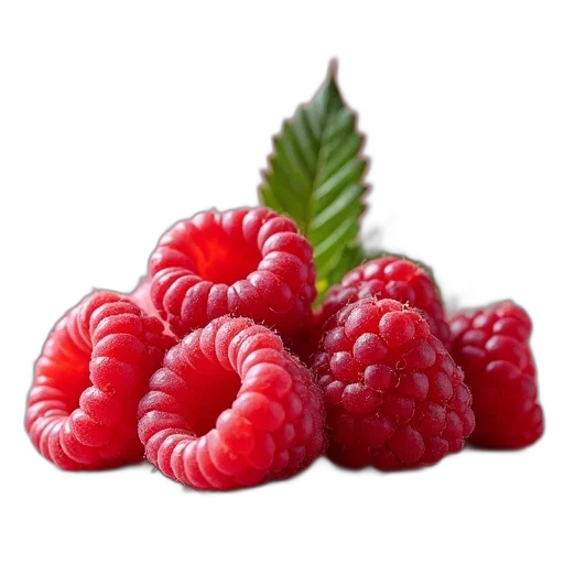 food, crown, animal, creature transparent PNG cut-out
