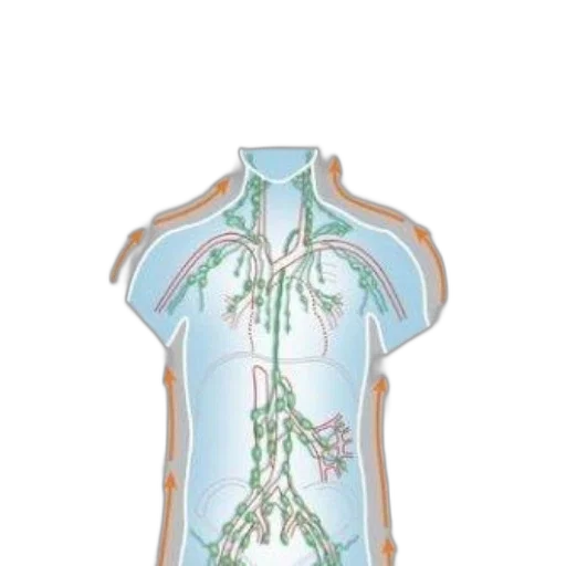 dress, jewelry, 3d render, concept art transparent PNG cut-out