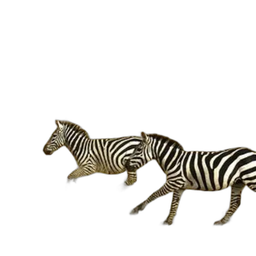 animal, creature, jewelry, furniture transparent PNG cut-out