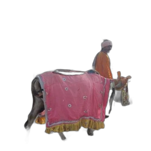 animal, furniture, staff, weapon transparent PNG cut-out