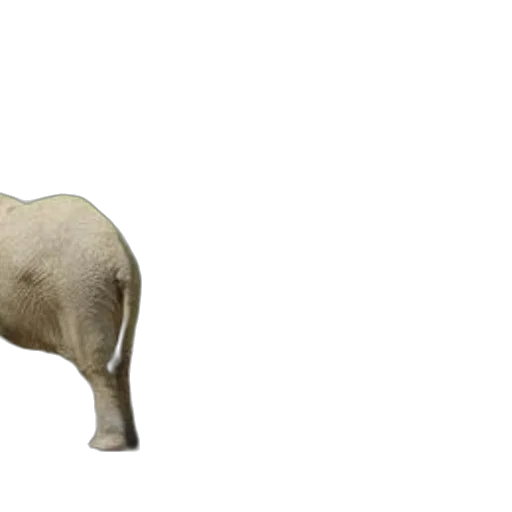 animal, creature, staff, mask transparent PNG cut-out