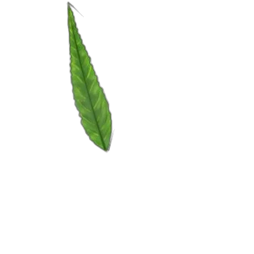 staff, weapon, tree, food transparent PNG cut-out