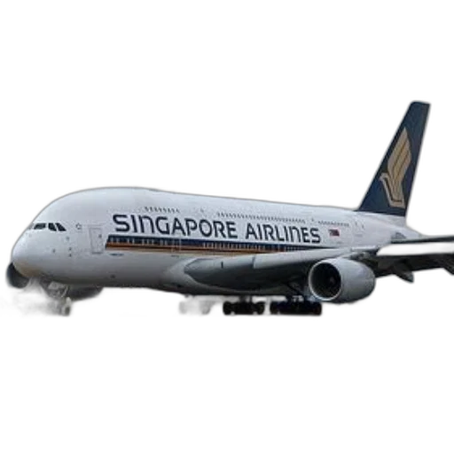 staff, photorealistic, 3d render, singapore transparent PNG cut-out
