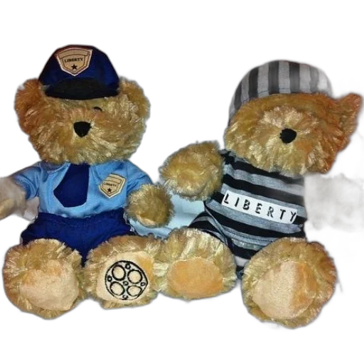 two, teddy, bears, sit transparent PNG cut-out