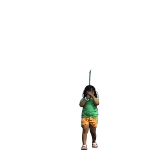 staff, umbrella, weapon, animal transparent PNG cut-out