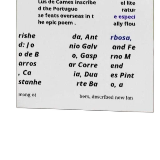 image, features, text, portuguese transparent PNG cut-out