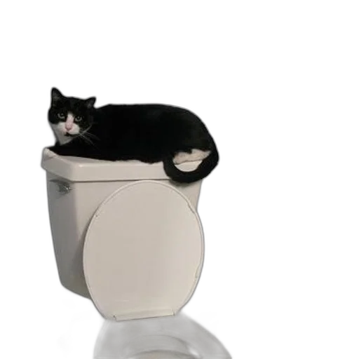 furniture, animal, hat, robot transparent PNG cut-out