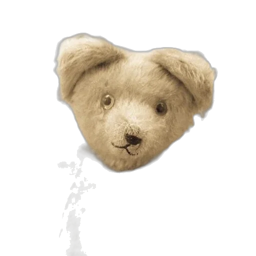 animal, face, hair, staff transparent PNG cut-out