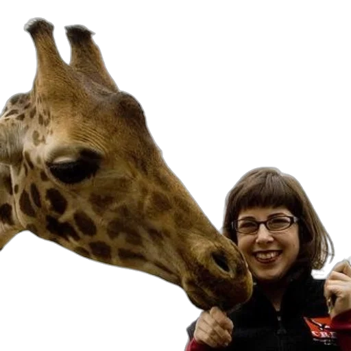 animal, creature, staff, person transparent PNG cut-out
