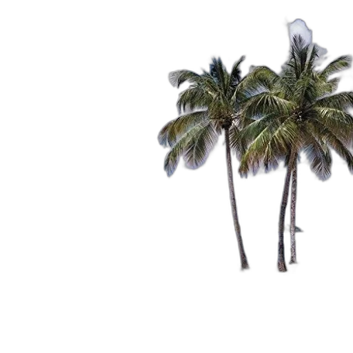 umbrella, tree, hair, weapon transparent PNG cut-out