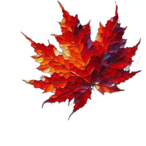crown, flower, tree, jacket transparent PNG cut-out