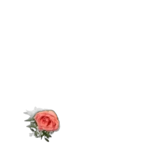 flower, crown, weapon, jewelry transparent PNG cut-out