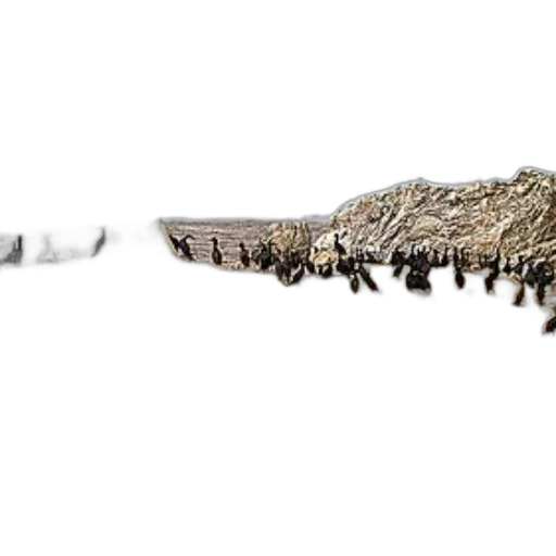 sword, weapon, staff, hair transparent PNG cut-out