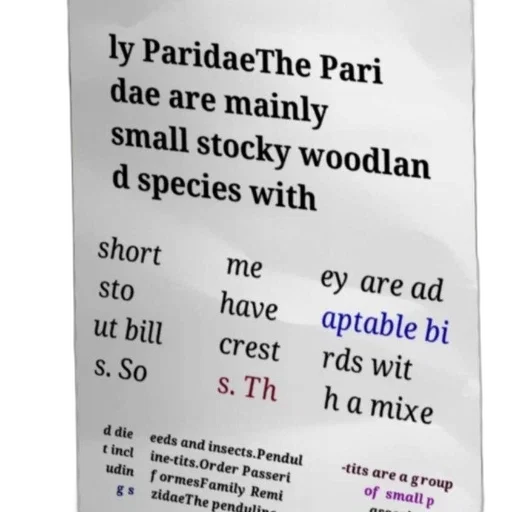 tree, image, text-based, description transparent PNG cut-out