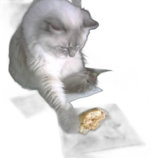 food, jewelry, animal, creature transparent PNG cut-out