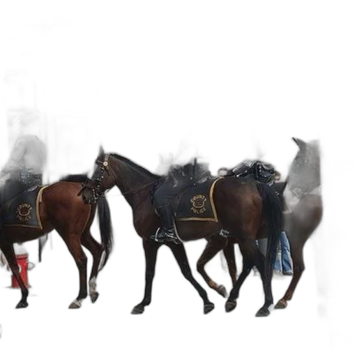 staff, animal, weapon, crown transparent PNG cut-out