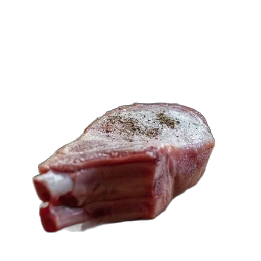 food, animal, weapon, creature transparent PNG cut-out