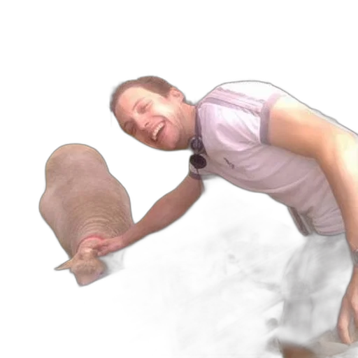 creature, animal, staff, hair transparent PNG cut-out