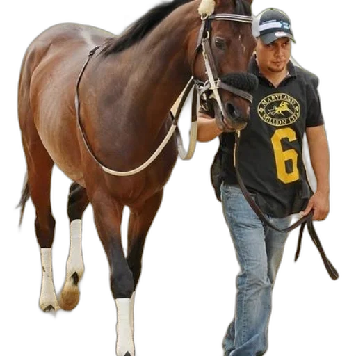 staff, animal, photorealistic, man transparent PNG cut-out