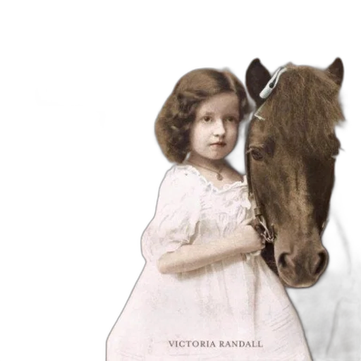 animal, dress, photorealistic, pony transparent PNG cut-out