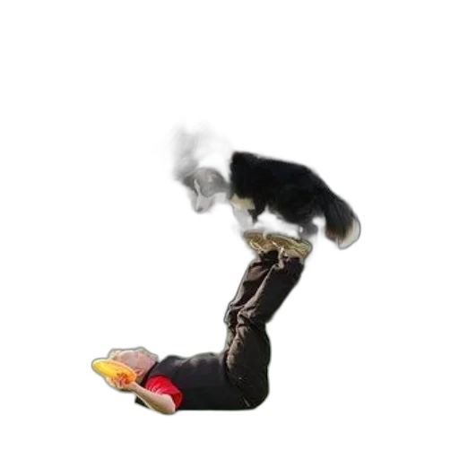 shoes, robot, animal, creature transparent PNG cut-out