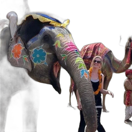 animal, creature, staff, umbrella transparent PNG cut-out