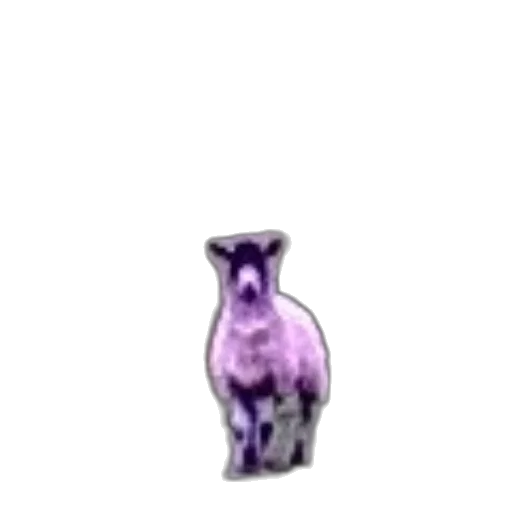 animal, bottle, creature, furniture transparent PNG cut-out