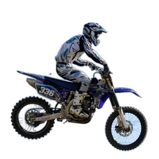 animal, 3d render, photorealistic, concept art transparent PNG cut-out