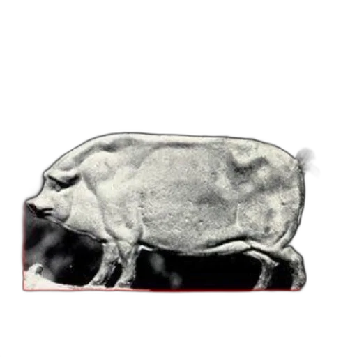 animal, food, car, mask transparent PNG cut-out