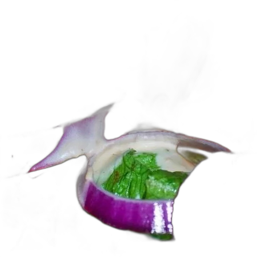 dragon, food, flower, creature transparent PNG cut-out
