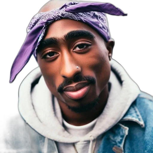 hat, face, animal, jacket transparent PNG cut-out
