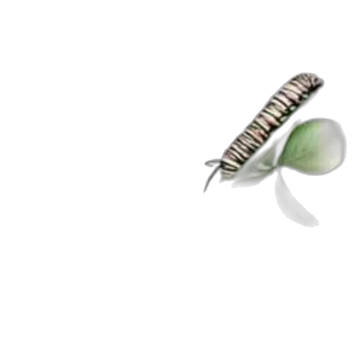 jewelry, weapon, furniture, sword transparent PNG cut-out