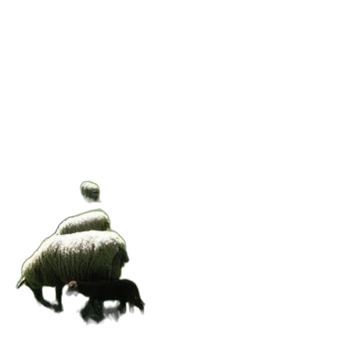 hat, creature, animal, umbrella transparent PNG cut-out