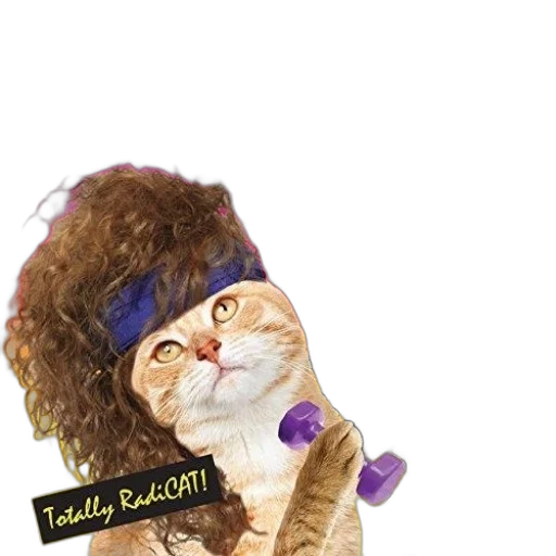 staff, photorealistic, vibrant, poster transparent PNG cut-out
