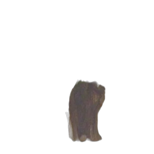 hair, staff, crown, shoes transparent PNG cut-out